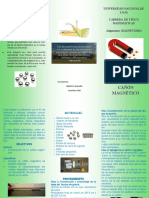 Triptico Magnetismo