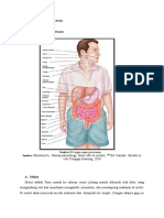 3 Fisiologi Sistem Pencernaan