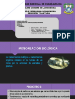 Meteorización biológica universidad Huancavelica