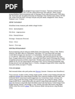 Download PADI by achmad_rizqan SN51287365 doc pdf