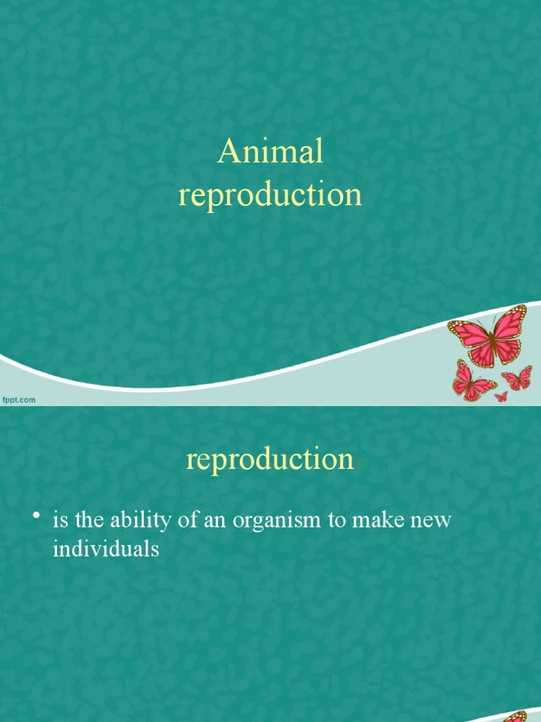 Animal Reproduction Overview | PDF