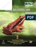 Animal Discover PDF