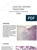 9na Practica Endocrino y Vias Urinarias-PDF