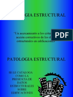 1aac Patologia Estructural 1 PDF