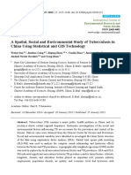 A Spatial, Social and Environmental Study of Tuberculosis in China Using Statistical and GIS Technology