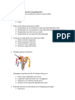 Soal Sistem Ekskresi PMSBB