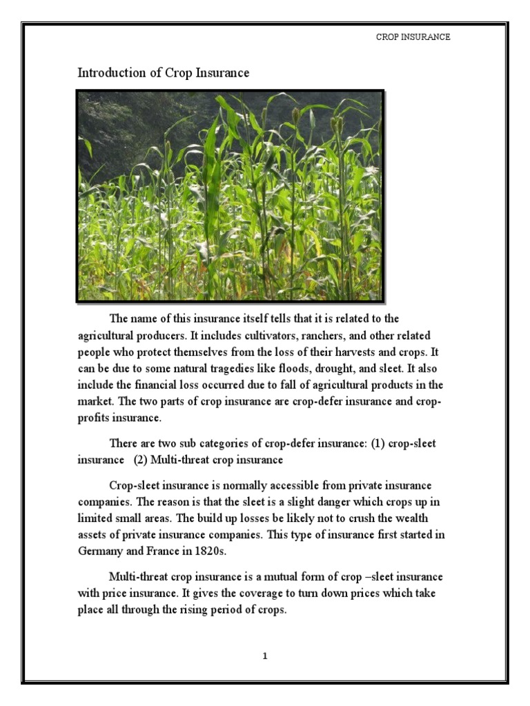 Understanding Crop Insurance Basics | PDF | Crop Insurance | Insurance