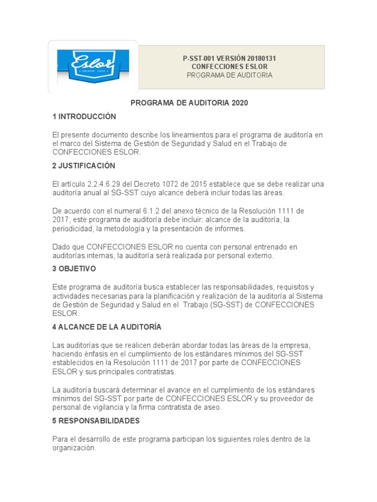 Plan Anual de Auditoria | Descargar gratis PDF | Auditoría | Contralor