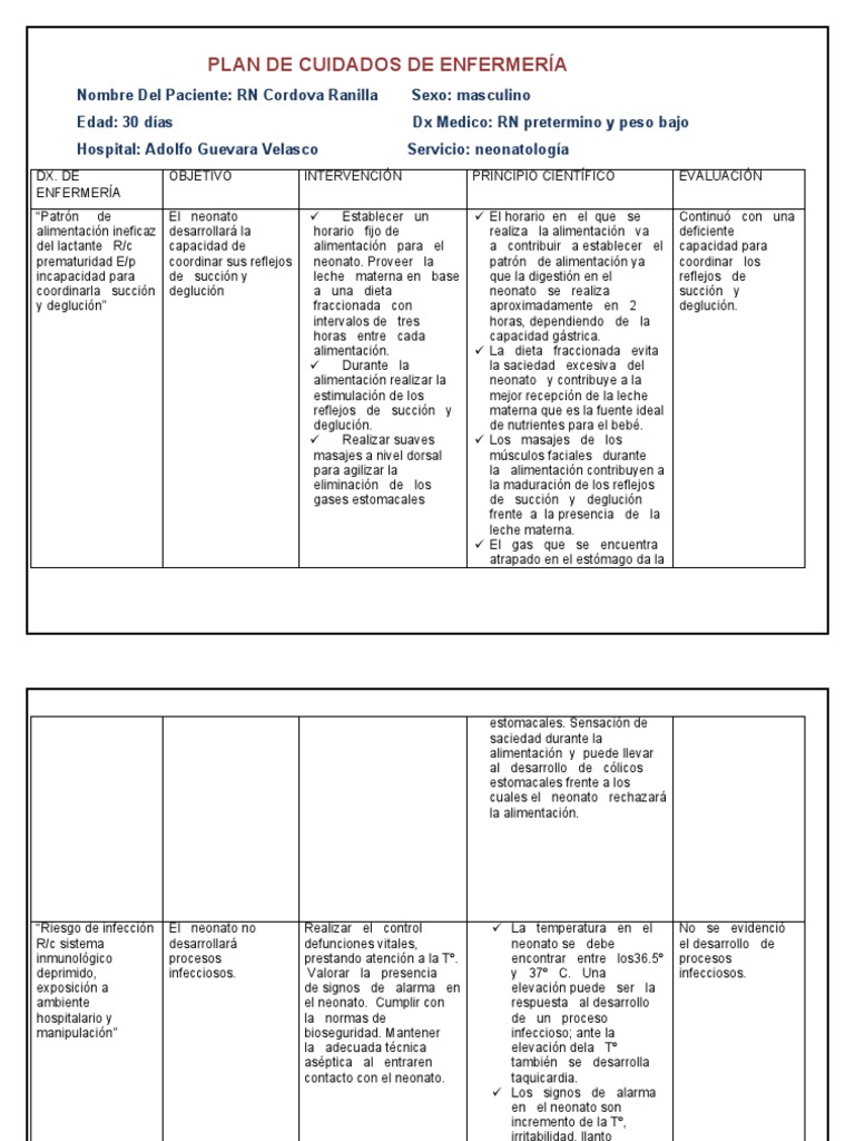 PLAN DE CUIDADOS DE ENFERMERÍA - Docx para Imprimir Jho | PDF | La ...