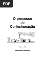 co-incineração