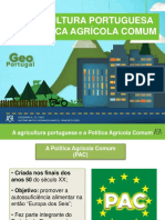 3. a Agricultura Portuguesa e a Política Agrícola Comum