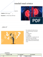 Enfermedad Renal Cronica