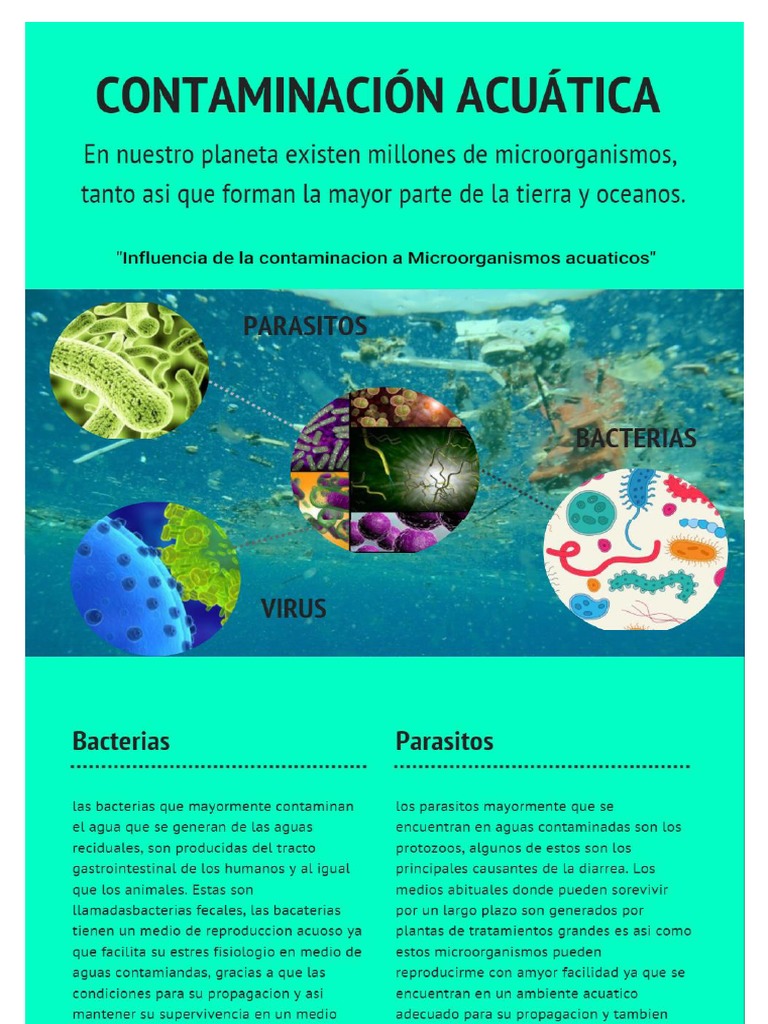 Influencia de Aguas Contaminadas en Microorganismos Acuaticos | PDF