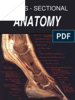 Anatomia Cross Sectional