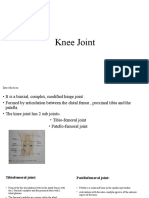 Knee Joint