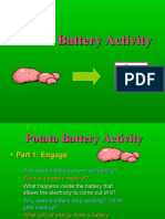 Potato Battery Activity