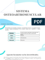 Sistema Osteoartromuscular