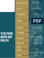 10 NZ Fishes Maori and English