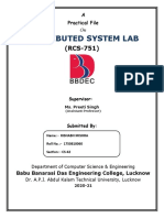 Distributed System Lab: A Practical File