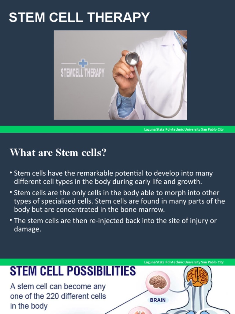 Stem Cell Therapy Overview in San Pablo | PDF | Cell Therapy | Stem Cell