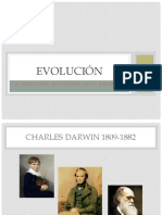 Evolución