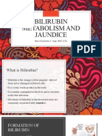 Bilirubin Metabolism and Jaundice: Marie Bernadette C. Digo, RMT, DTA