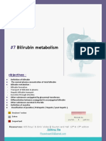 7-Bilirubin Metabolism