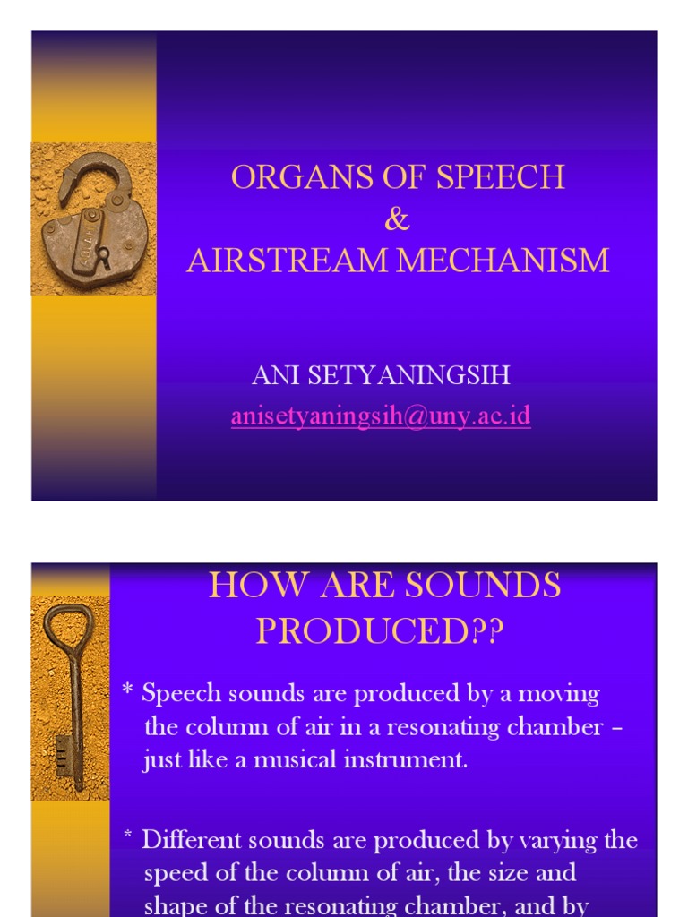 Organs of Speech & Airstream Mechanism Ani Setyaningsih PDF Face