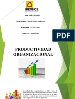 Exposiición Productividad Organizacional