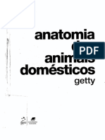 Anatomia Dos Animais Domésticos Getty 1