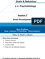 Week4-1 Brain Development