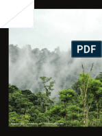 1 Hacia una Amazonia sostenible_ideas para una política pública