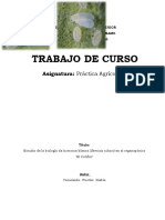 Trabajo de Curso, Tuto