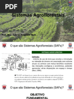 Aula 1 - Introdução à Sistemas Agroflorestais