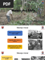 Aula 5 - Manejo dos SAFs
