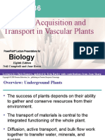 Resource Acquisition and Transport in Vascular Plants: Biology
