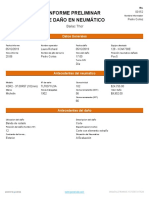 Informe Preliminar 22