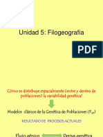 5 C.filogeografia