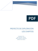 Chapito Proyecto