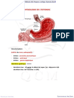 7 - Physiologie de L'estomac