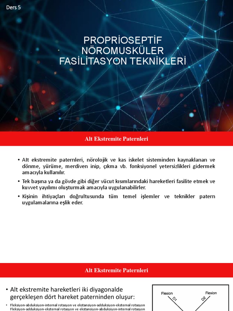 PNF 5 | PDF