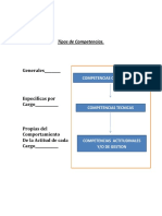 Tipos de Competencias