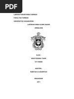 Download LAPORAN URINALISIS by Rahmatun Sahra SN51301025 doc pdf
