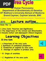 Download USMLE Preparatory Online Resource_ Effective Biochemistry and Genetics Teaching Relatively Short Time_Dr Kumar Ponnusamy Urea Cycle amp Nitrogen Metabolism_ST Matthews University School of Medicine 2010 by Dr Kumar Ponnusamy SN51301290 doc pdf