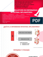 Cuidados Paliativos en Enfermedad Intestinal Inflamatoria