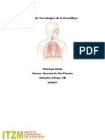 Unidad 5 Fisiologia Alex Eduardo 4ab