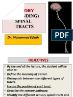 Sensory: Sensory (Ascending) Spinal Tracts