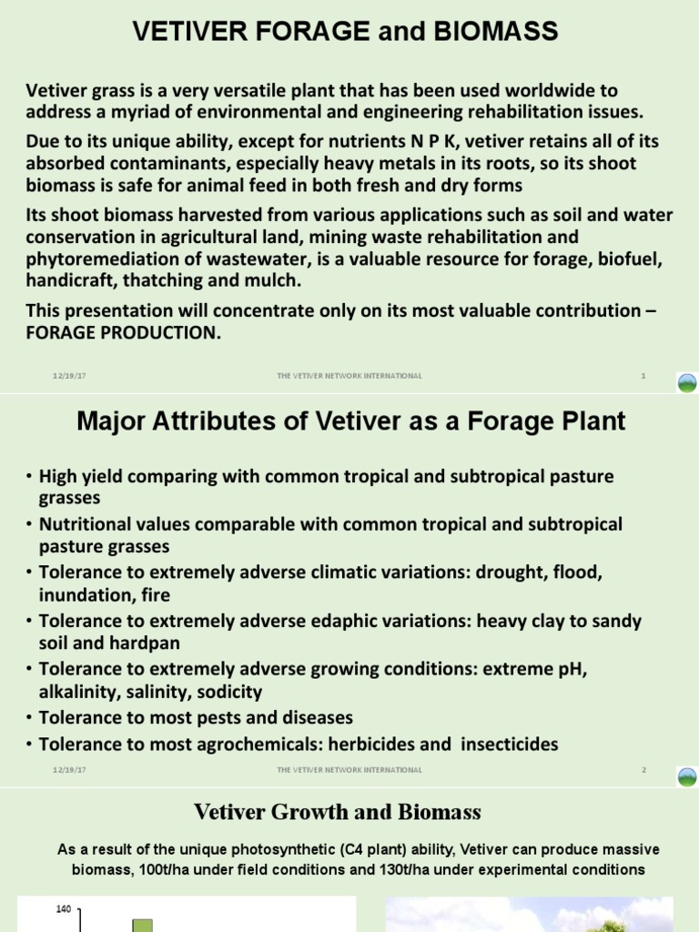 Vetiver Grass: Forage Production Benefits | PDF | Fodder | Soil