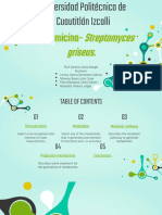 Producción de estreptomicina por Streptomyces griseus