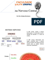 AULA 3 e 4 Sistema Nervoso Central